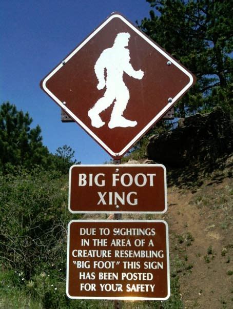 Is There Archaeological Evidence Of Bigfoot Part I Ancient Origins