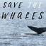 Save The Whales Relay  STUMINGAMES