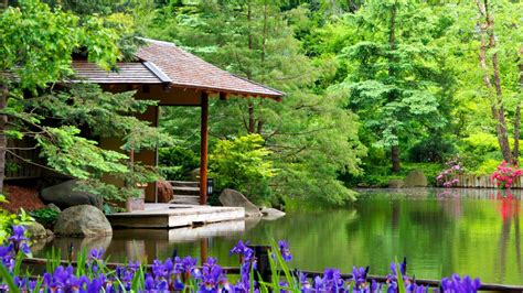 Summer Tranquility Wallpapers - Wallpaper Cave