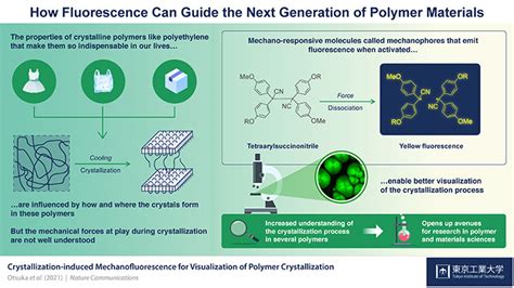 Mechanophores Making Polymer Crystallization Processes Crystal Clear