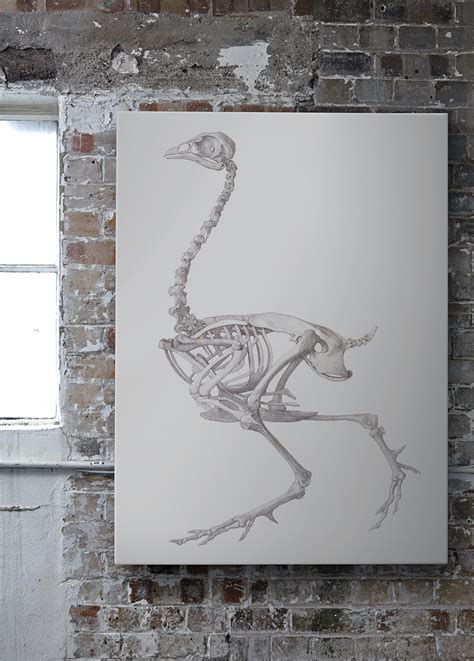 Fowl Skeleton Lateral View Canvas Wall Art Surfaceview