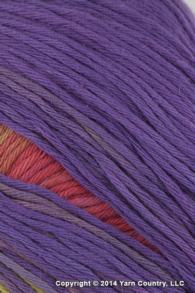 Want great yarn and patterns? Ty-Dy Yarn - Apple Wine (# 290) | Knit One Crochet Too ...
