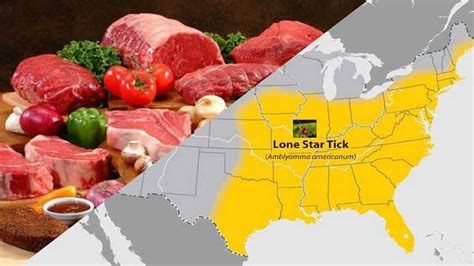 Lone Star Tick Bite Causes Allergy To Red Meat Kansas City Star