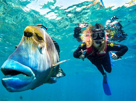 Cairns Great Barrier Reef Tours Non Swimmers Besttravels Org