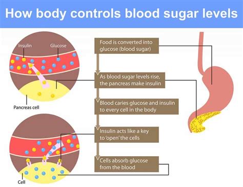 About blood sugar unit conversion tool. Advantages of a low-carb diet - why you need to Ditch The ...