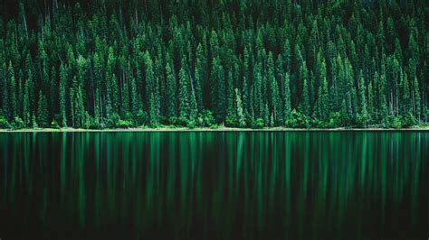 种满绿色针叶树的倒影湖 欧莱凯设计网