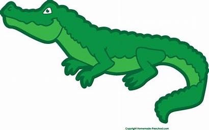 Alligator Crocodile Clipart Clip Cliparts Transparent Animations