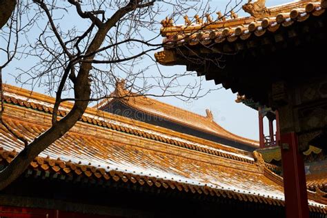 Beijing Forbidden City In Snow Stock Image Image Of Ming Palace