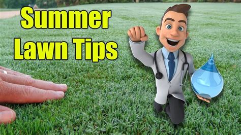 Summer Lawn Care Tips Youtube
