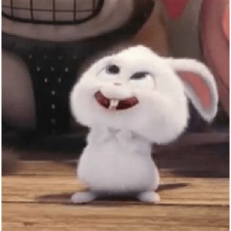 Snowball Rabbit 2