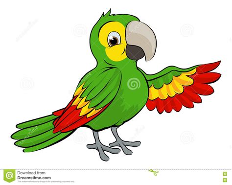 Green Cartoon Parrot Stock Vector Illustration Of Animal