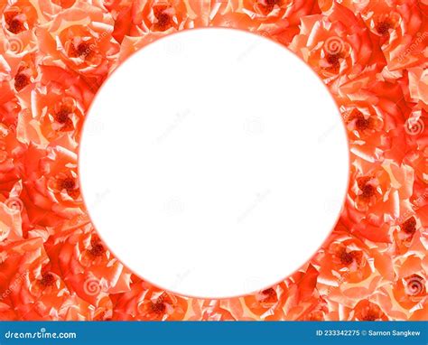 Cerchio Bianco Su Sfondo Rosa Arancione Natura Oggetto Modello Banner