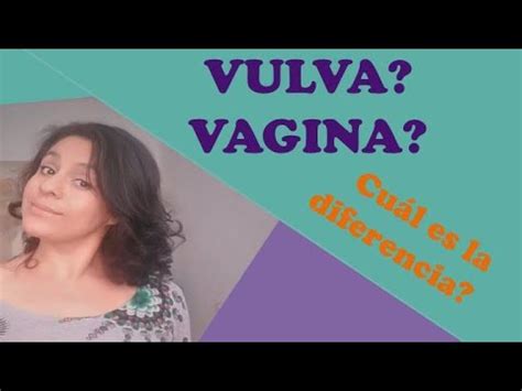 Vulva Vagina Cu L Es La Diferencia Youtube