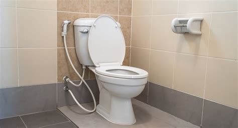 Bab Di Toilet Jongkok Dan Toilet Duduk Mana Lebih Sehat Belajar