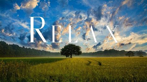 Relax Ambient Music And Chillout Music Music For Stress Relief Youtube