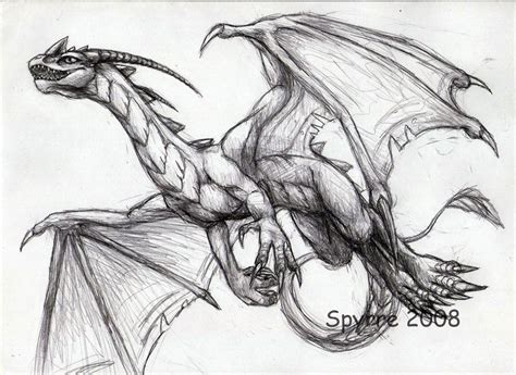 Flying Dragon Fly Drawing Drawing Sketches Art Drawings Dragon