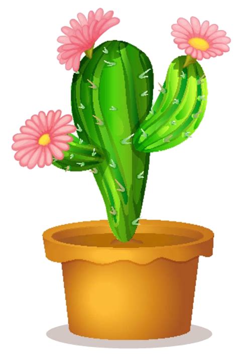 Succulent Clipart Free Download Cactus Plants Clipart 10 Free