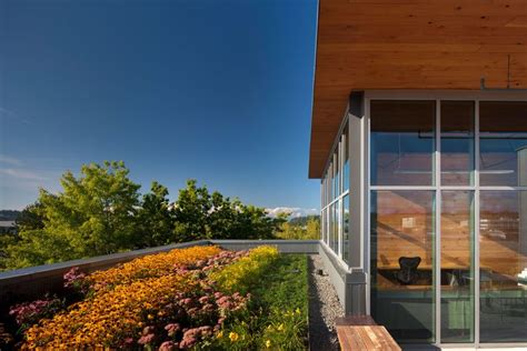 16 Spectacular Green Roofs Around The World Green Building
