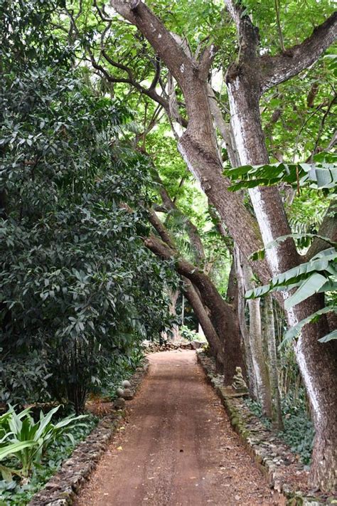 Allerton Garden National Tropical Botanical Garden In Koloa On Kauai