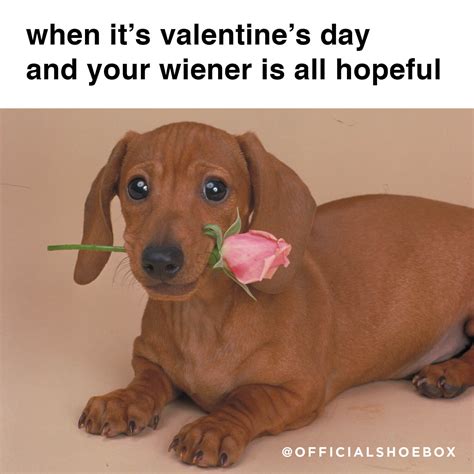 Cute Valentines Day Memes 21 Valentines Day Memes That Will Make You