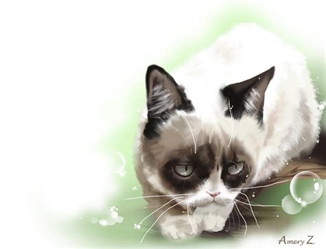 Tard Grumpy Cat By Windemo On Deviantart