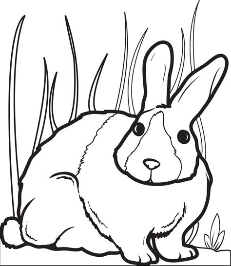 Print out and color easter themed coloring book pages. Printable Bunny Rabbit Coloring Page for Kids #2 - SupplyMe