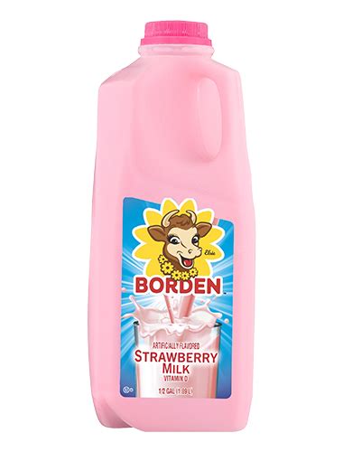 Strawberry Whole Milk Borden Dairy