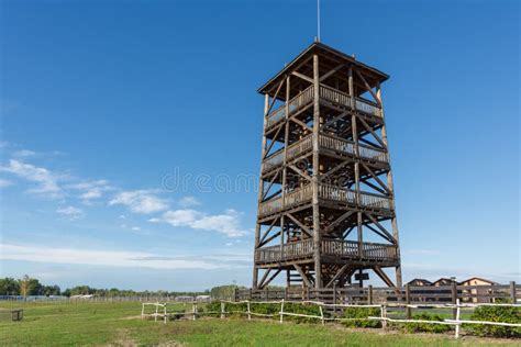 Wooden Observation Tower Nature Park Beremytske Chernihiv Region