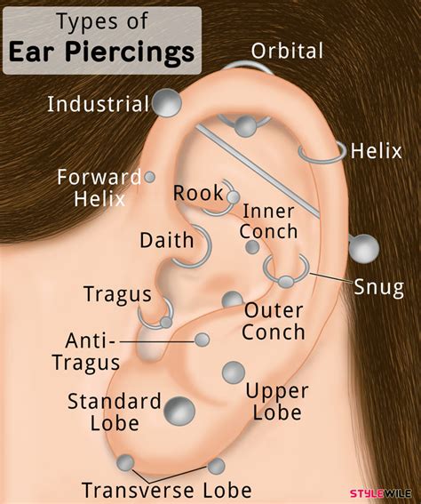 Ear Piercing Types