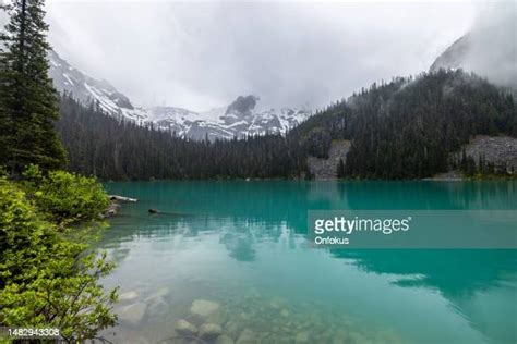 Great Glacier Provincial Park Photos And Premium High Res Pictures