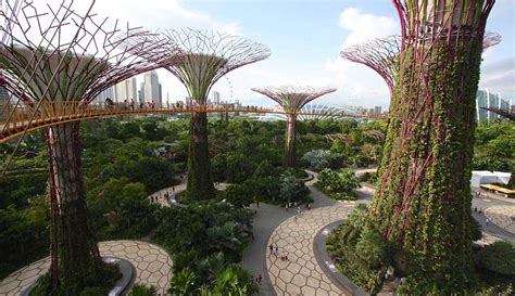 Gardens By The Bay Singapore Travel Guide Marina Bay Sands