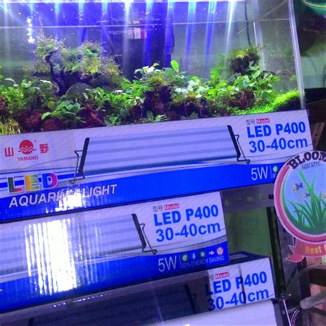 Ini adalah video tentang aquarium & aquascape, dengan topik : Jual lampu aquarium aquascape led p400 tuk ukuran 30_40 cm ...