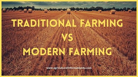 Major Differences Between Traditional Farming And Modern Farming
