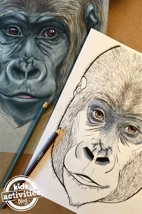 Our free printable coloring pages can be easily printed and colored with paints or crayons. Gorilla Coloring Pages for Kids