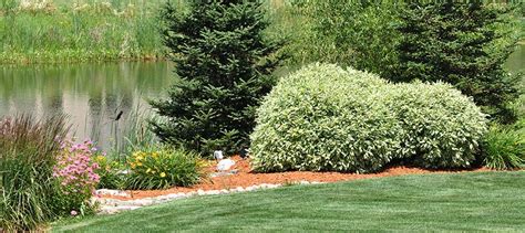 Summer Landscaping Ideas Benjamin Lawn And Landscape