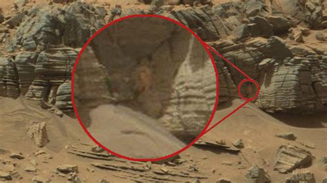 Fotos Las Pruebas Más Extravagantes De La Existencia De Vida En Marte Rt