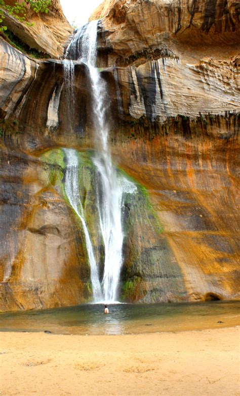 Calf Creek Falls Wanderookie Waterfall Utah Travel Utah Vacation