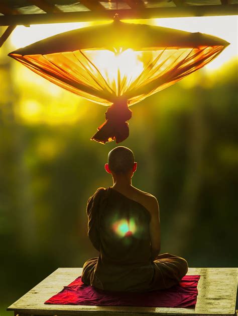 Hombre Meditando Budismo Theravada Meditar Paraguas Monje Meditando