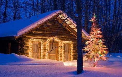 Cabin In The Woods Holiday Home Cozy Cabin Log Cabin