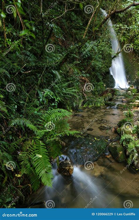 Waterfalls New Zealand Stock Image Image Of Flowing 120066229