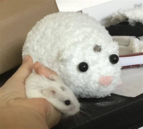 I Made Another Plush Of My Hamster D She Passed Away A Couple Days Ago