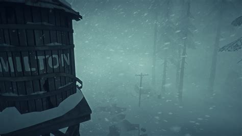 The Long Dark For Ps4