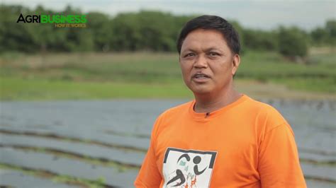 Successful Farmers In The Philippines Vegetable Farming Agriculture