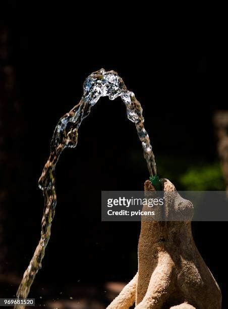 Close Up Squirt Photos And Premium High Res Pictures Getty Images