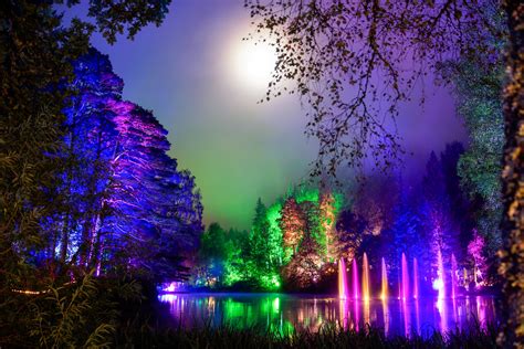 Enchanted Forest Flickr