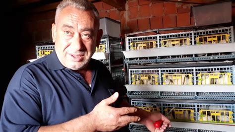 Bugün sizlere ukrayna bıldırcını hakkında bilgi verdik. Milletin Sözüne Aldanmayın ! ! ! YENİ İŞ FİKRİ - YouTube