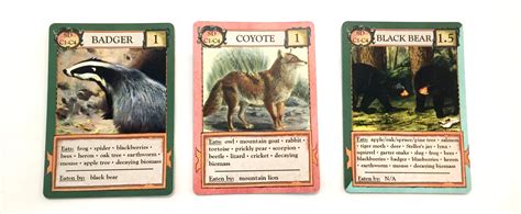 3264 x 1343 jpeg 290 кб. Review of Ecologies Animal Card Game by Matthew Montrose