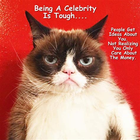 grumpy cat by gary september 2017 grumpy cat humor grumpy cat grumpy cat meme