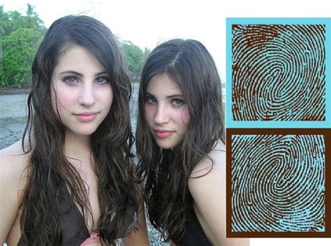 Locomotion Of Expressions Identical Twins Don T Have Identical Fingerprints Even From Birth