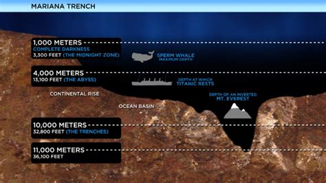 Challenger Deep Exploration In The Marianas Trench
